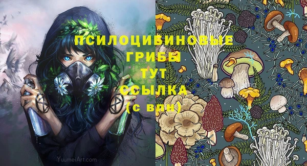 стафф Новозыбков