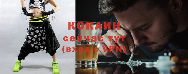 стафф Новозыбков