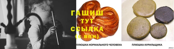 стафф Новозыбков