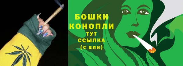 стафф Новозыбков