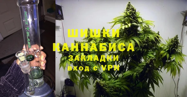 стафф Новозыбков