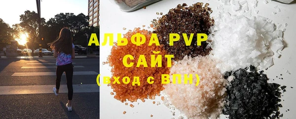 стафф Новозыбков