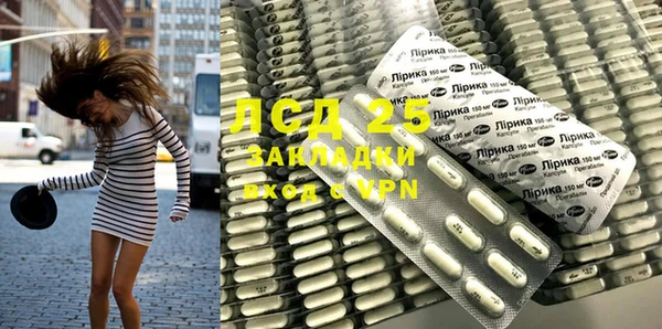 стафф Новозыбков